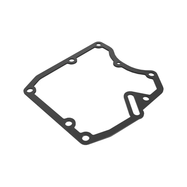 Governor Gasket