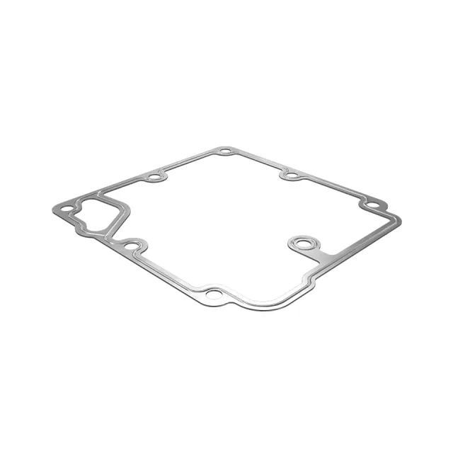 Yakıt pompası Ve Vali Side Cover Gasket
