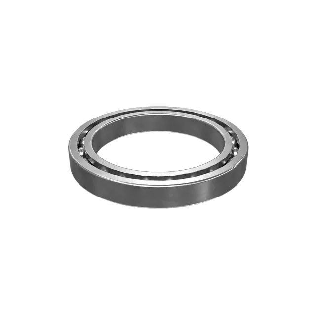 215.9mm Diamètre extérieur Roulement à billes spécial