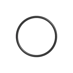 Caterpillar 91.44mm İç Çap Keçesi O-Ring — açılı görünüm