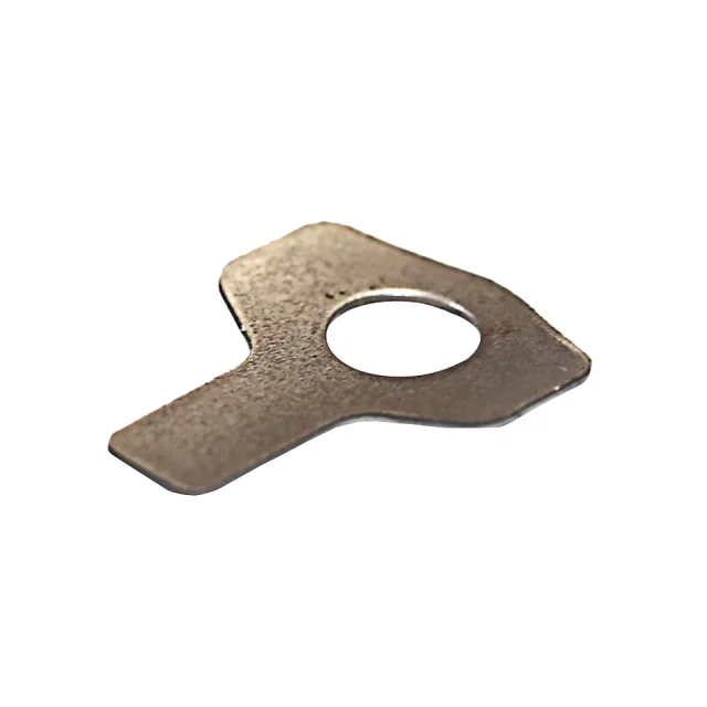 Special Lock Washer