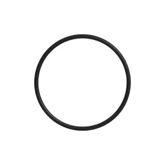 Caterpillar 113.66mm O-Ring de Vedante de Diâmetro Interior — vista de três quartos