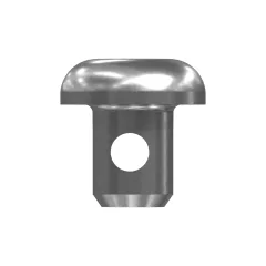 Caterpillar No. 10 (.190)"-32 x 1/4" Rounded Pan Head Internal Hex Vida — açılı görünüm