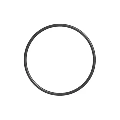 Caterpillar 2.62 x 61.6mm 75A FKM O-Ring — three-quarter view