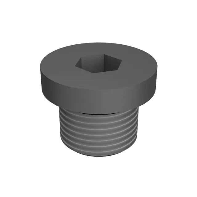 Plug-Hex Socket Head