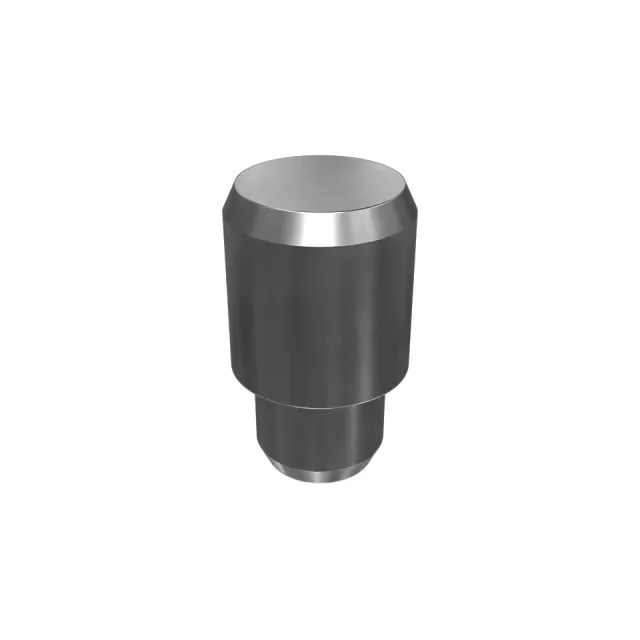 Thrust Race Lock Pin
