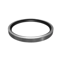 Caterpillar 152.40mm Diamètre intérieur Type de lèvres joint