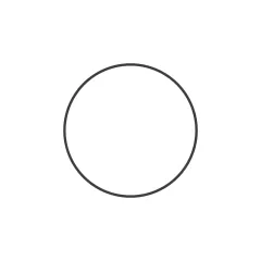 Caterpillar 11.18mm Thick Round Gasket — açılı görünüm