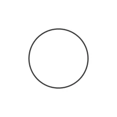 Caterpillar 11.18mm Thick Round Gasket — açılı görünüm