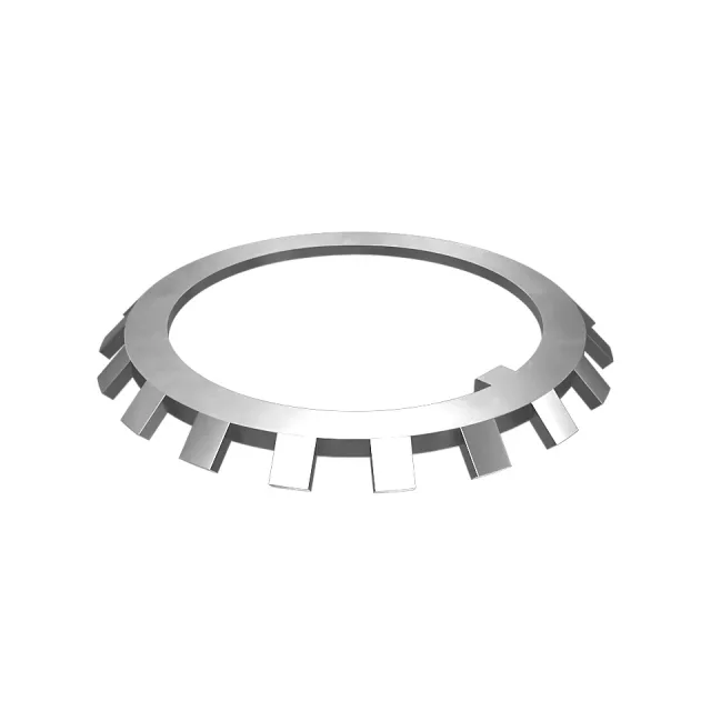 Bearing Lockwasher