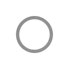 Caterpillar 2mm Thick Seal Washer — vista de três quartos