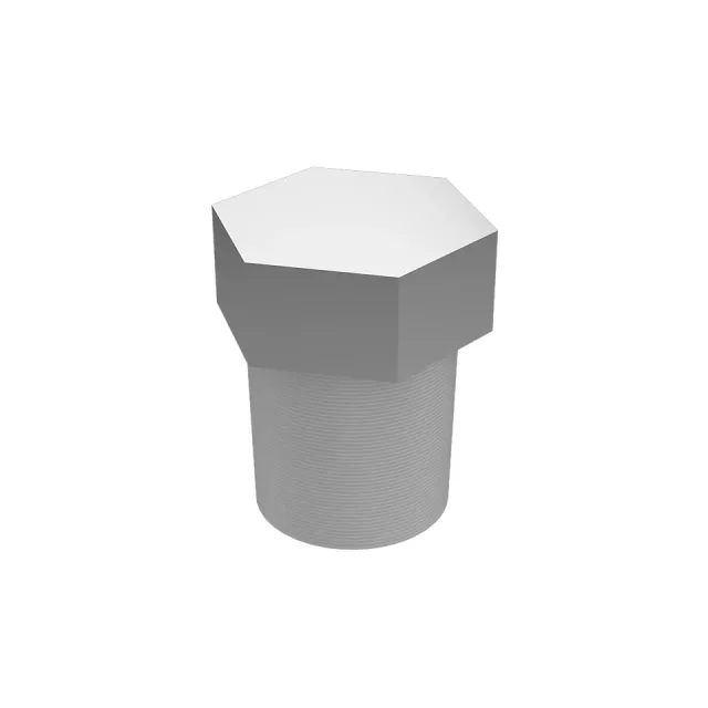 1/8" Auxiliary Water Pump Pipe Plug