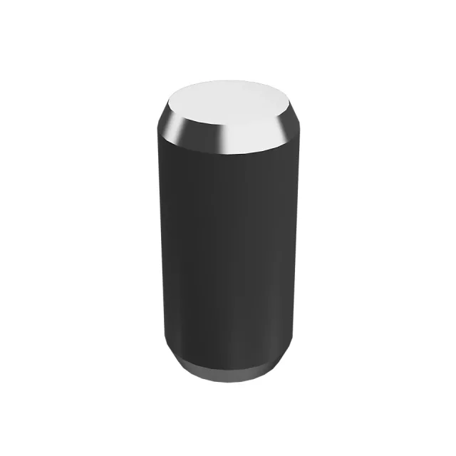 20mm Lange abgeschrägte Endstahldübelnadel