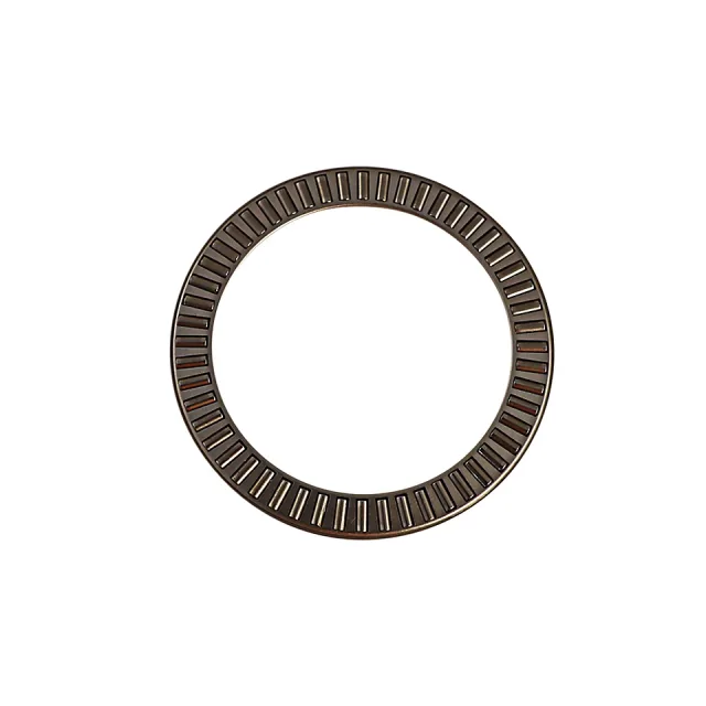 Bearing-Thrust Needle