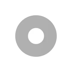 Caterpillar 2.97mm Thick Steel Shim — açılı görünüm