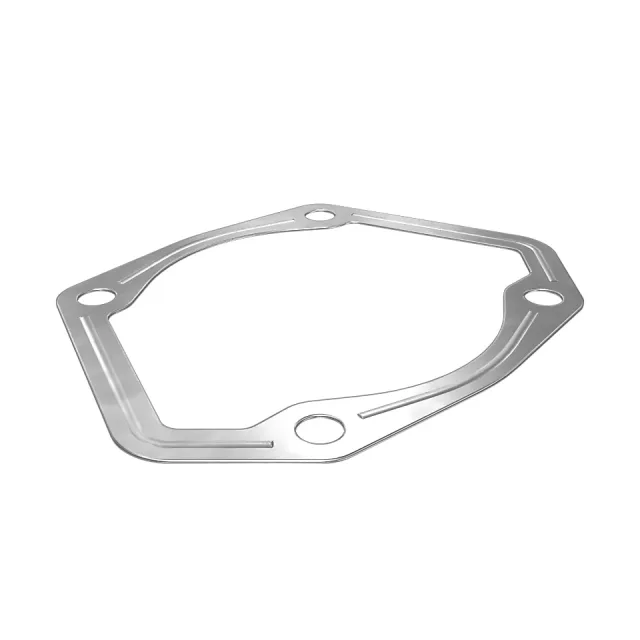 0.8mmKanser Hatları Gasket
