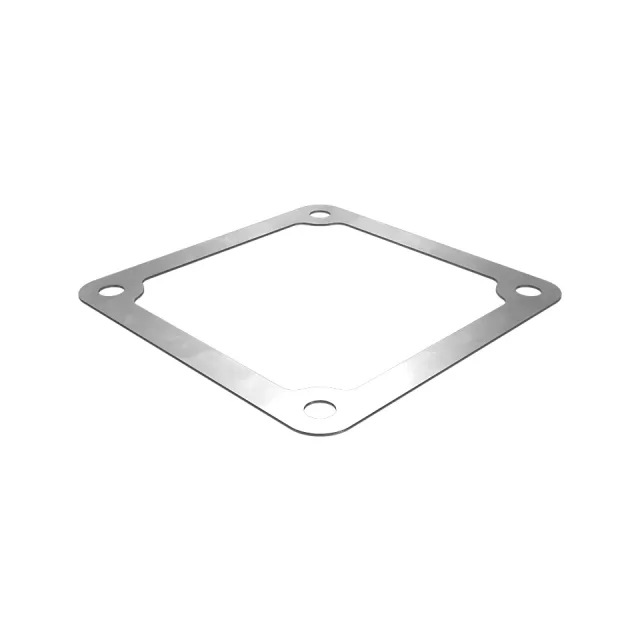 EĞER Bypass Valve Gasket
