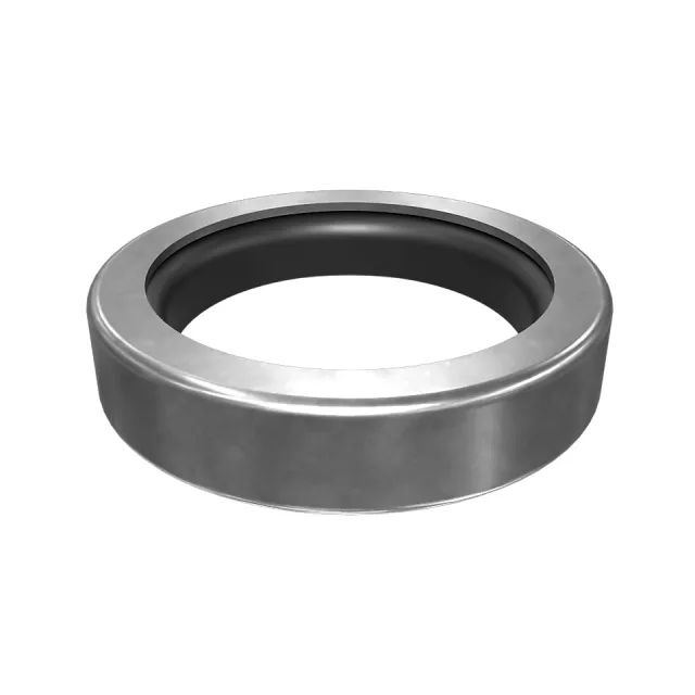 31.75mm Shaft Diameter Lip Type DICHTUNG