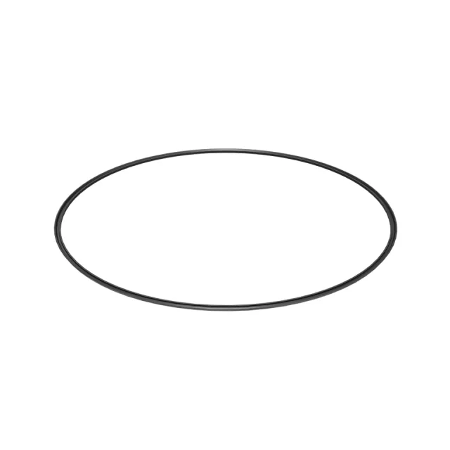 0.123" Thick External DICHTUNG RING