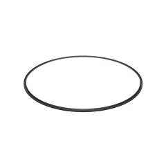 Caterpillar Internal Ring Seal