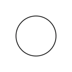 Caterpillar 158.34mm Inside Diameter Seal-O-Ring — three-quarter view