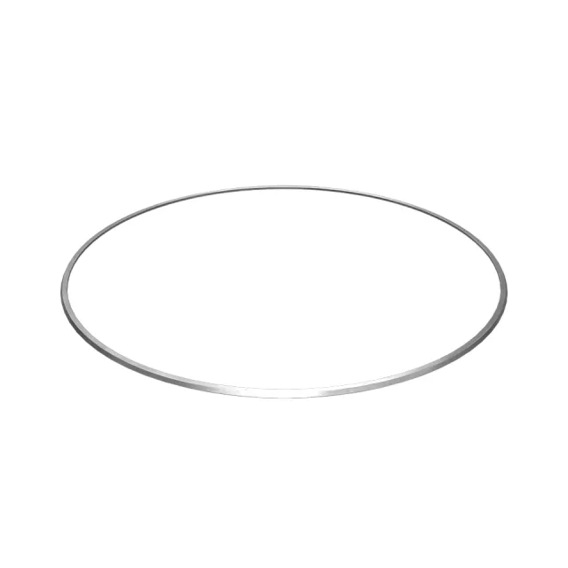 External Seal Ring