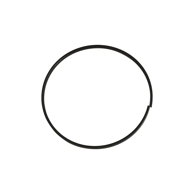 117.48mm Gauge Temp Seal Ring