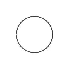 Caterpillar 117.48mm Gauge Temp Seal Ring — açılı görünüm