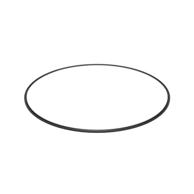 307.03mm Diamètre intérieur Anneau de joint intérieur