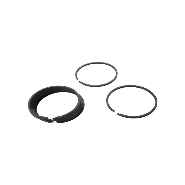 101.6mm Outer Diameter Seal Ring