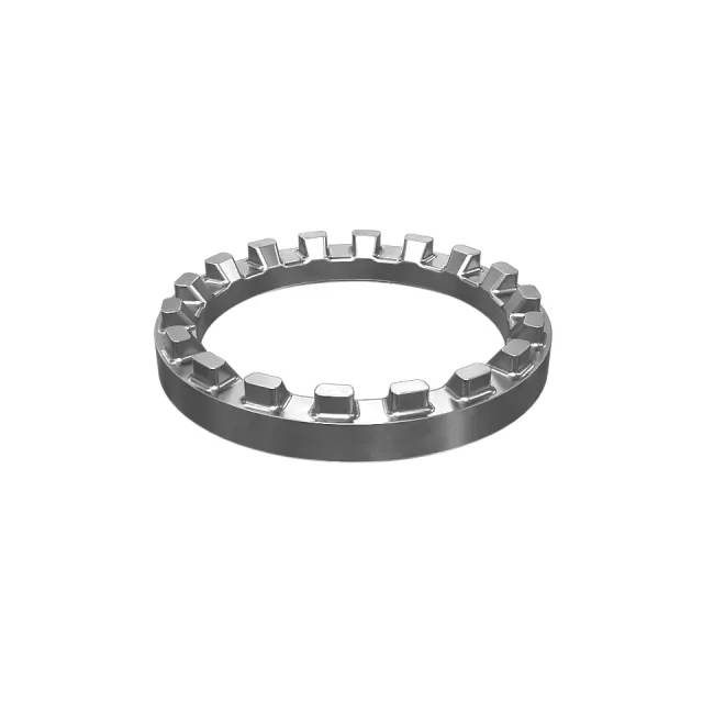 Adjustment Ring
