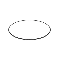 Caterpillar Internal Seal Ring