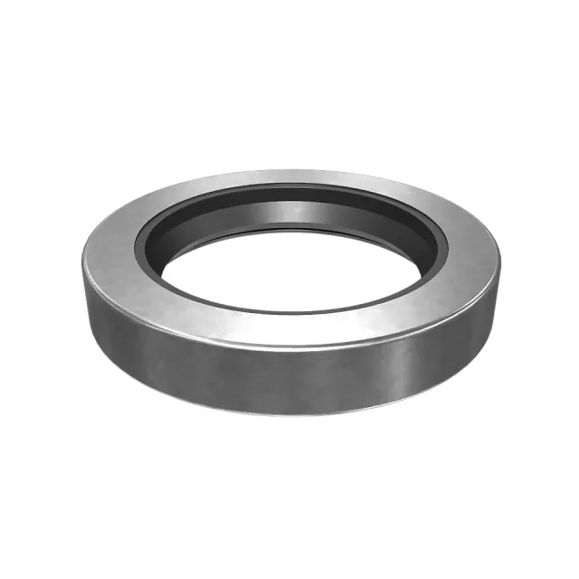 49.23mm İç Sayfa Lip Seal