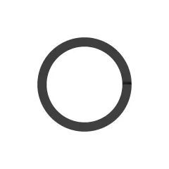 Caterpillar 22.22mm ID Control VENTIL Backup RING — Dreiviertelansicht