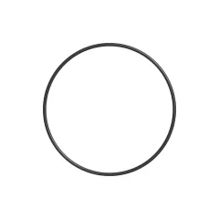 Caterpillar 202.56mm Inside Diameter Seal-O-Ring — three-quarter view