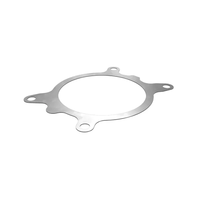 0.8mmSa Water Pump Gasket