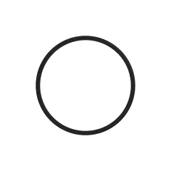 Caterpillar Transmission Clutch External DICHTUNG RING — Dreiviertelansicht