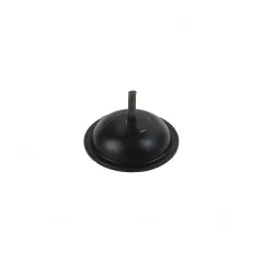 DIAPHRAGM