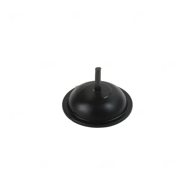 DIAPHRAGM