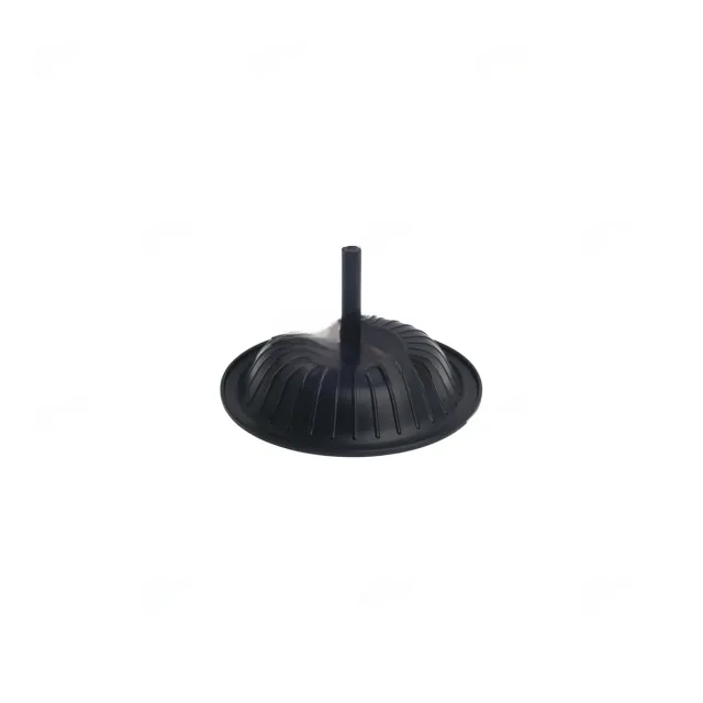 DIAPHRAGM