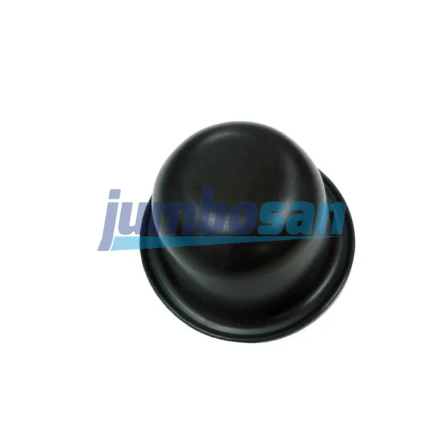 DIAPHRAGM