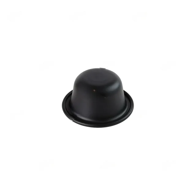 DIAPHRAGM