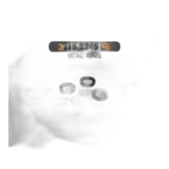 SEAL RING