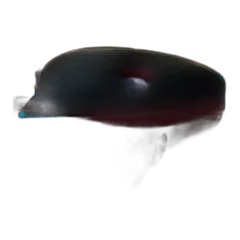 SEAL