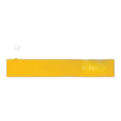 LAMP INSERT