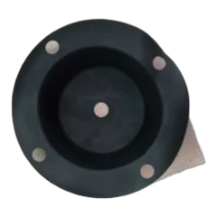 DIAPHRAGM