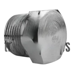 PLUG