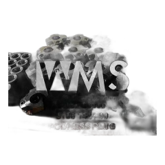 ADDRESS PLUG