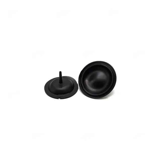 DIAPHRAGM