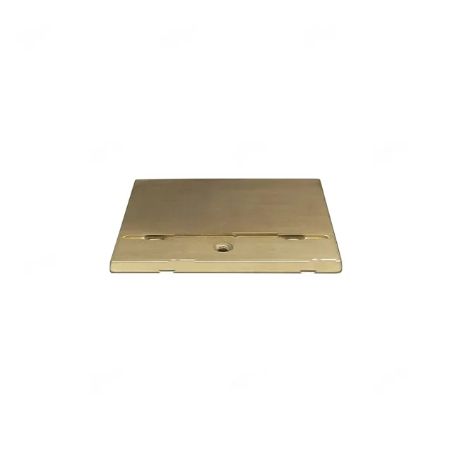 SLIDE PLATE